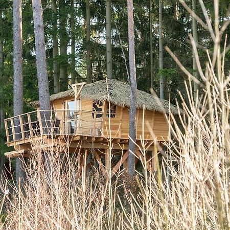 Hotel Treehouse U Rybnika à Osecna Extérieur photo