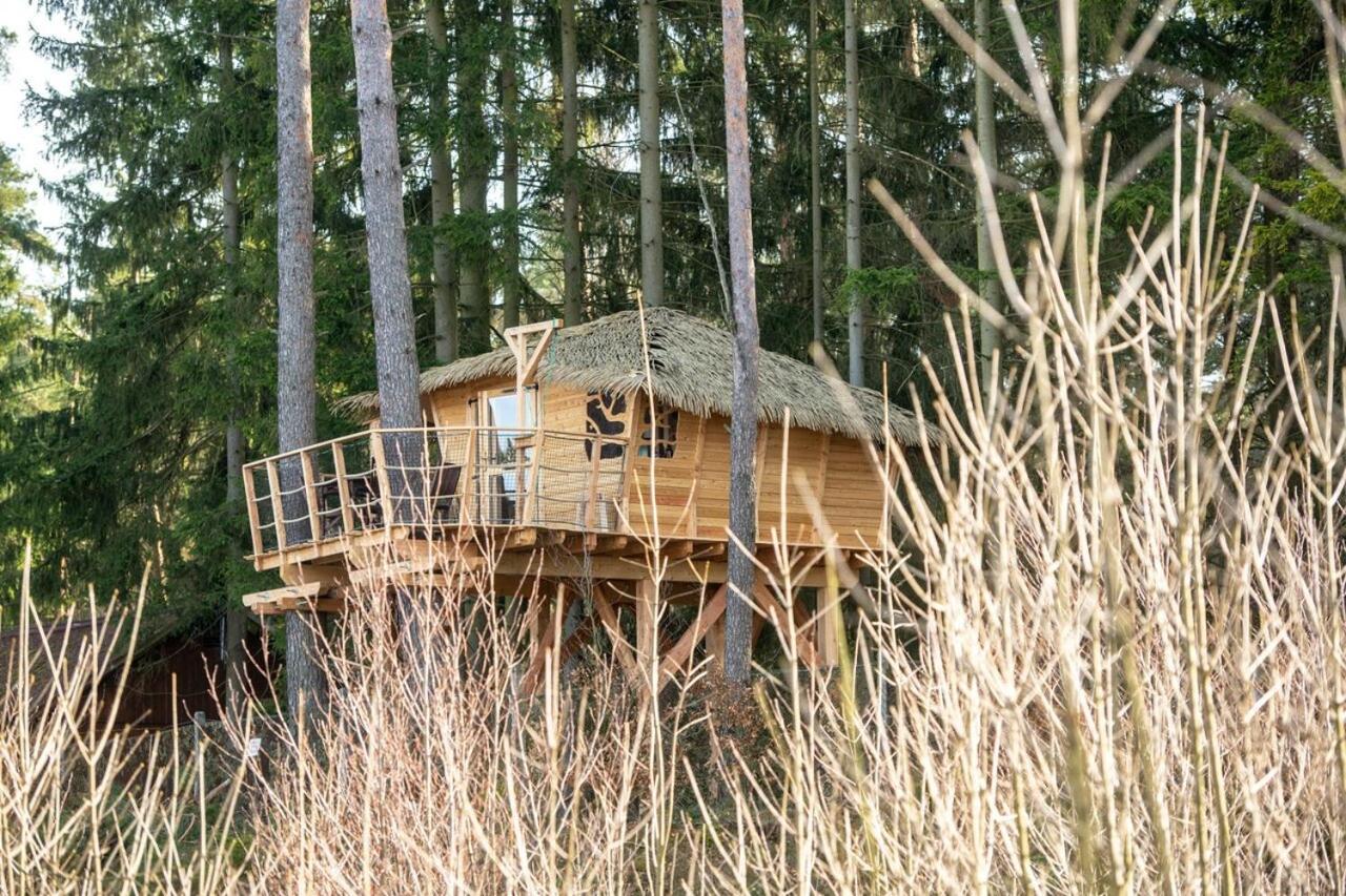 Hotel Treehouse U Rybnika à Osecna Extérieur photo