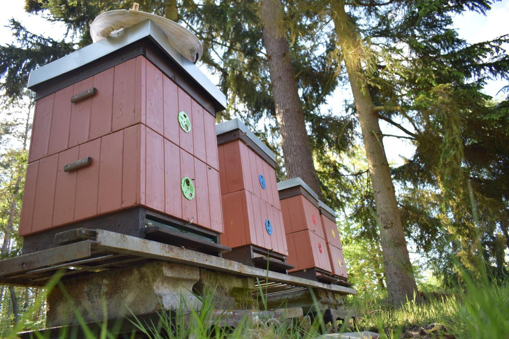 Hotel Treehouse U Rybnika à Osecna Extérieur photo
